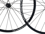 CX-Elite 22T - Image 2